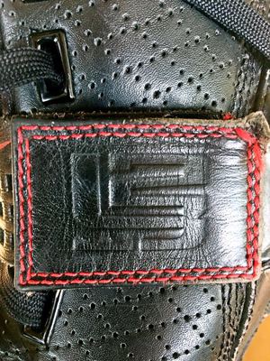 老鞋伏櫪,志在千里--勒布朗&middot;詹姆斯V代