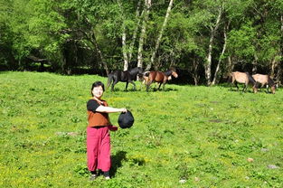 老驥伏櫪 2018我們的 六一